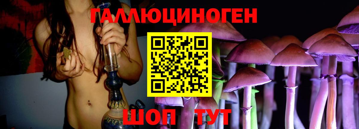 купить наркотики цена  Псилоцибиновые грибы Psilocybine cubensis  Вход с VPN  Мелеуз  Галлюциногенные грибы Cubensis 